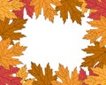 Postcard frame autumn leaves on a white background vector illustration Royalty Free Stock Photo